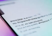 vivoiqooz1怎么开启快充