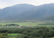 华为送的礼品卡怎么激活使用？适用哪些商品？