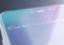 请输入vivo账户密码
