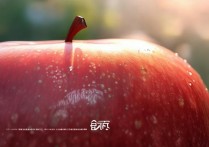 苹果自己发热怎么回事啊，手机异常发烫原因及解决方法