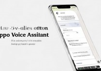 怎么关掉oppo语音助手？oppo语音助手怎么彻底关闭