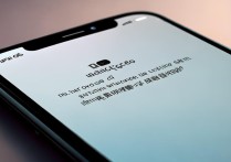 苹果的音量键陷下去了怎么办