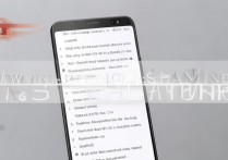 三星c9pro怎么刷安卓，三星c9pro刷机教程详解