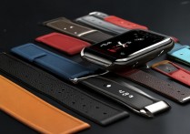 小米Watch S1 Pro表带有哪些可选？兼容原装吗？