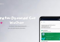 华为petl20怎么下载微信