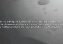 三星手机屏幕突然变灰色是什么原因导致的？