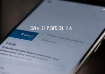 vivo 下载了 rom 怎么安装程序？rom 刷机后如何安装 app 软件