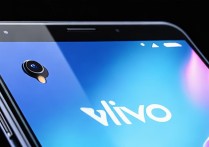 vivo y923