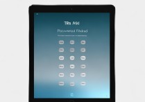 苹果ipad 5怎么锁屏密码