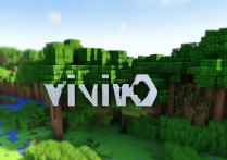 vivo我的世界