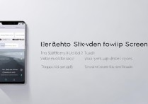 oppo 账号登录中心在哪里？