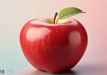 apple 招聘