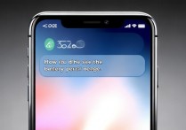 苹果x怎么才能看到电亮