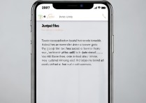 苹果手机本地小说文件没显示？怎么打开txt/md格式？