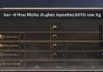 vivo x9手机丢失了怎么远程挂失？求具体步骤！