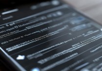 vivox6里面的工程模试怎么关闭