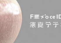 苹果十一面容id不可用怎么回事