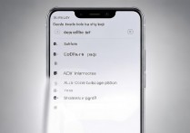 华为荣耀10双击放大怎么关闭