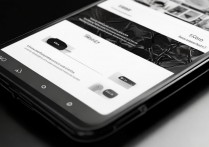 vivo手机主题成黑白色该怎么调？vivo手机怎么设置黑白主题