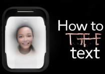 苹果siri怎么输入文字，siri无法语音转文字怎么办