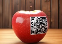 苹果怎么扫二维码，苹果手机扫码支付教程