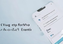 vivo 手机呼叫转移怎么设置？
