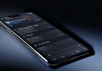黑鲨5 RS怎么看内存占用?内存占用查询方法是什么?