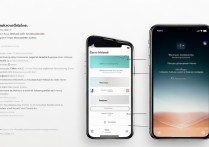 苹果11密码忘记了怎么解锁停用了怎么办