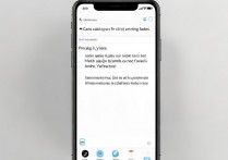 苹果手机怎么设置卡类型来电？双卡默认语音号码怎么改