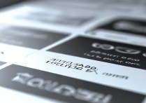 贴贴插件怎么搞oppo