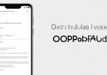 OPPO手机怎么设置？新手必看呼功能详细教程