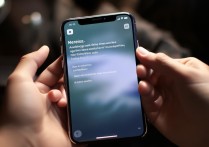 苹果手机电话设置没有了怎么办