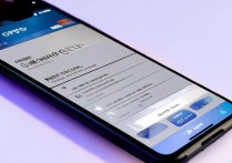 崩坏3oppo手机无法登录怎么办？