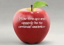 苹果怎么刷回原来版本吗？苹果手机如何降级系统教程