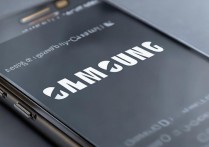 三星怎么开发者模式？三星手机开发者选项在哪里打开