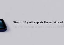 Xiaomi 11青春版支持快充吗？快充功率多少？