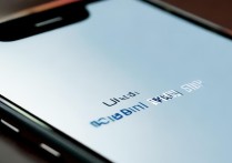 苹果来电只有震动没有铃声怎么回事