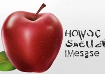 苹果怎么发送imessage？iMessage怎么开通使用