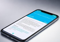 vivoy29手机怎么老断网