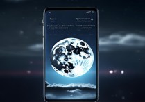 vivo手机上面有个月亮