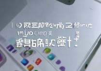 vivo 图标怎么弄 6 排？vivo 手机桌面如何设置六排图标？