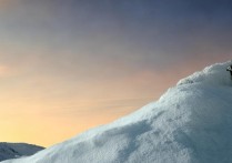 vivonex3怎么看电子保修