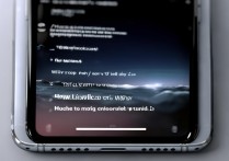 苹果手机显示设置不了怎么办？