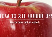 苹果圆点怎么快速关闭？iPhone辅助触点关闭方法