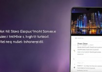 vivo夜拍模式怎么设置，vivo手机夜间拍照技巧