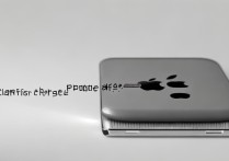 ipad充电器能充手机吗