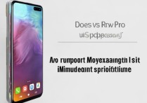 vivo S10Pro支持内存扩展吗？参数配置里有说明吗？