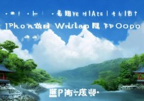 如何将图片做成OPPO手机壁纸？详细步骤教程