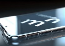 小米手机一直显示mi