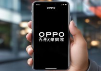个性短语OPPO怎么弄？设置步骤和技巧分享